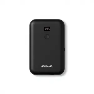 Portable Power Bank (5000mAh)