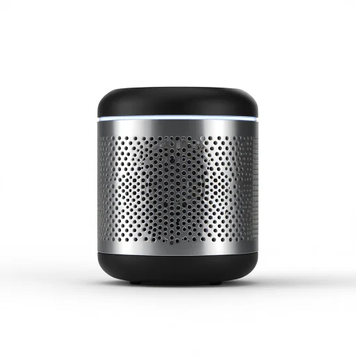 Bluetooth Speaker (Mini)